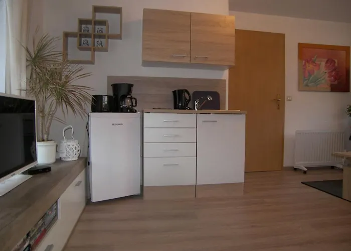 公寓 Vincent Mit Terrasse, Grill & Wlan 泽姆平